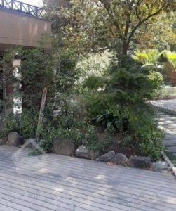 فروش اپارتمان ۳خواب با قدر سهم عالی هروی