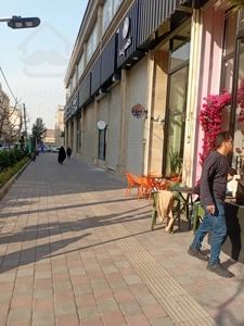 آغاز پیش فروش رونیکا مال پونک ، مخصوص صنف طلا و جواهر