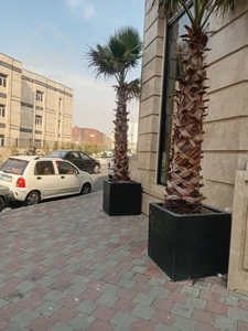 فروش واحد تجاری 56 متری در پاسداران