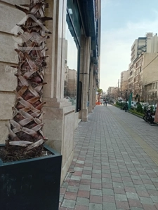 پیش فروش رونیکا مال میرزا بابایی ، نشانی که اعتبار می آورد