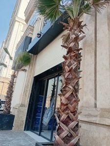 اجاره واحد تجاری 20 متری در هروی