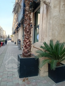 پیش فروش رونیکا مال میرزا بابایی ، با امکانات گسترده در تاپ لوکیشن غرب تهران