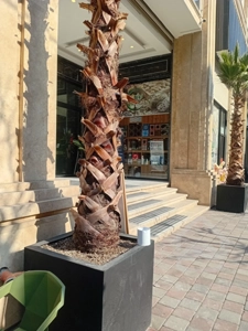 اجاره واحد تجاری 20 متری با سه ماه تنفس در پاسداران