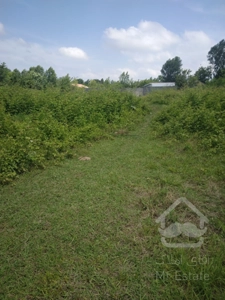 فروش زمین مسکونی درگیلان.رشت.بیجاربنه.