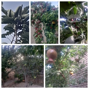 فروش خانه دوطبقه مهندسی