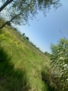 فروش زمین در لنگرود زیر قیمت