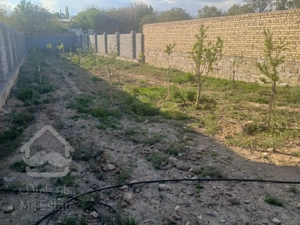 باغ دیوارکشی شده