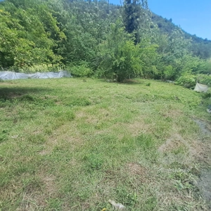 زمین مسکونی دل جنگل