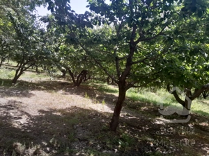 720مترباغ/لواسون بزرگ/روستای زیبای ایرا