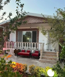 وبلا نقلی جنگلی به فیمت اقساطی با وبو جنگل