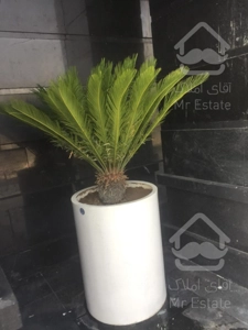 واحد ۵۰ متری / اقساطی / ویو ابدی / چیتگر