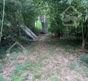 فروش‌ خونه باغ