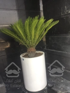 خرید واحد ۵۰ متری اقساطی ویو ابدی