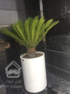 خرید واحد ۱۰۰ متری اقساطی