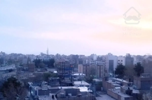 یک همخونه نیازمندم
