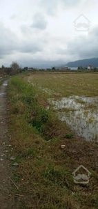 فروش زمین کشاورزی