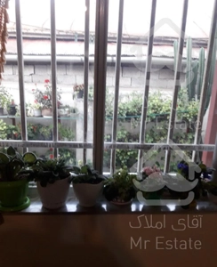 اجاره ویلا تک خواب