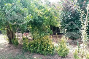 اجاره ویلا سوئیت کولر برجاده ساحل خانواده و مجرد