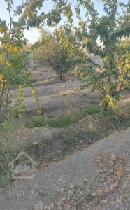 باغ نزدیک جاده اصلی سند داره