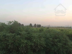 باغچه ٥٠٠ متري 