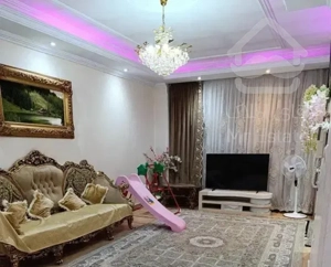 ۵۸ متر/تک خواب/ عروسک/بسیار خوش نقش/بهبودی شمالی