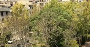 ۱۶۰متر  ویو میدان در نارمک