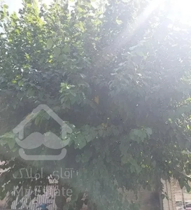 اجاره شهرک دریا