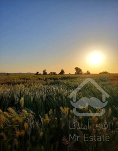 ۵۰۰ متر زمین چهاردیواری شده در کردان جاده سهیلیه شهرک کوروش