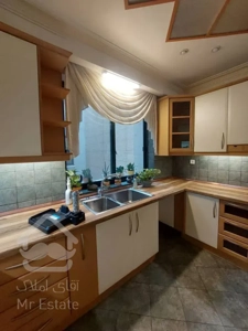 اجاره آپارتمان ۲۱۰ متری در زعفرانیه