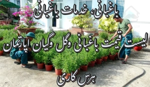 گل وگیان اپارتمان