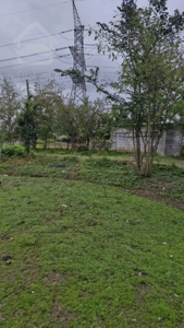 زمین در گیلان