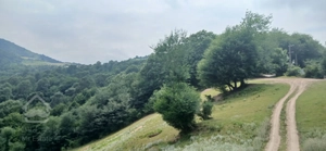 زمین زراعی جهت سرمایه گذاری یا فروش
