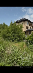 زمین چالوس رادیودریا