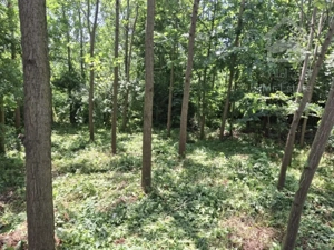 فروش زمین مسکونی