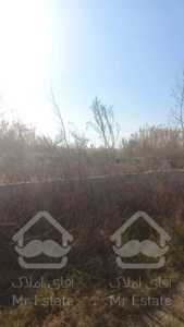 زمین تشبندان زراعی