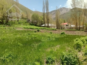 فروش زمینو۵۲۵ متری در آزادبر جاده چالوس