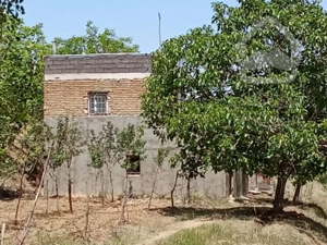 فروش باغ سمت ابرو نزدیک چشین