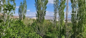 باغ  با مجوز ساخت (توضيحات مطالعه شود)
