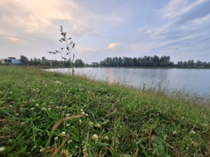 ویلای مدرن روف دار با ویو دریاچه و پارک جنگلی نور