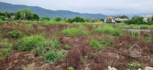 ۲۰۲ متر زمین