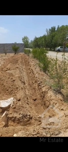 زمین باغی کشاورزی