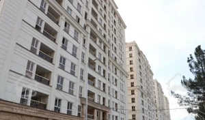 ۱۱۰م پونک/سالن پرده خور/ویودار/کلیدنخورده/خوش نقشه