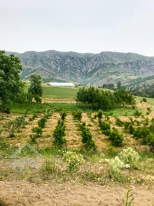 باغ گلخانه ۲.۵ هکتاری با آب دائمی و ویوی بی‌نظیر