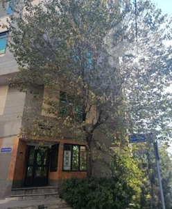 فروش مستغلات ۳ طبقه یکجا دهکده المپیک