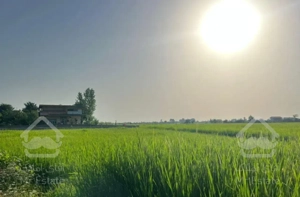 ویلا باغ نزدیک ساحل تالش