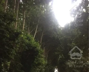 ١٤٠ متر تک واحدی طبقه آخر