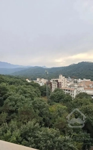 پنت‌۳۰۰متری خط یک جنگل تعریف تازه‌ای ازلوکس بودن