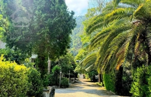 700 متر باغ ویلا شهرکی با مدارک در منطقه چلک