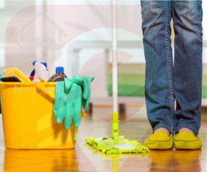 استخدام نیروی خانم نظافت و امور منزل