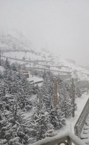 اپارتمان 75 متری 1خواب